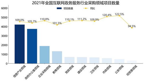 2021全国互联网政务服务行业招标采购报告 简版